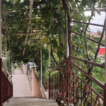 Daire Gorgeous In With Wifi Novi Vinodolski